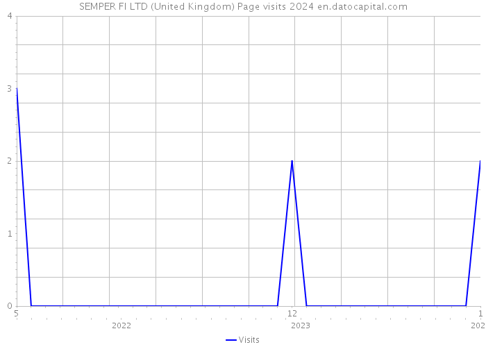 SEMPER FI LTD (United Kingdom) Page visits 2024 