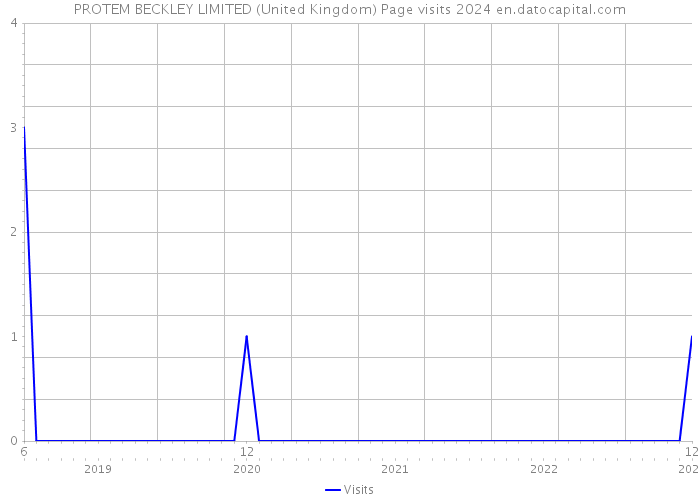 PROTEM BECKLEY LIMITED (United Kingdom) Page visits 2024 