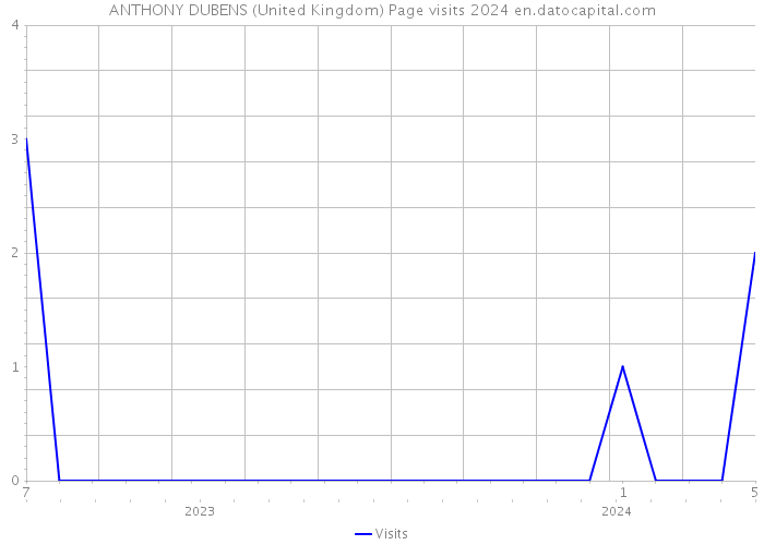 ANTHONY DUBENS (United Kingdom) Page visits 2024 