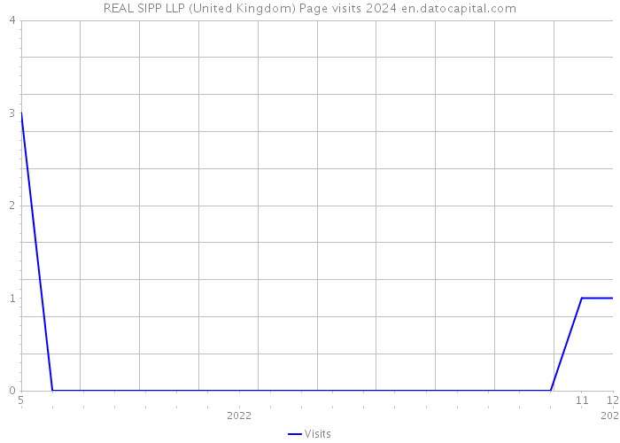 REAL SIPP LLP (United Kingdom) Page visits 2024 