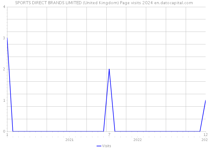 SPORTS DIRECT BRANDS LIMITED (United Kingdom) Page visits 2024 