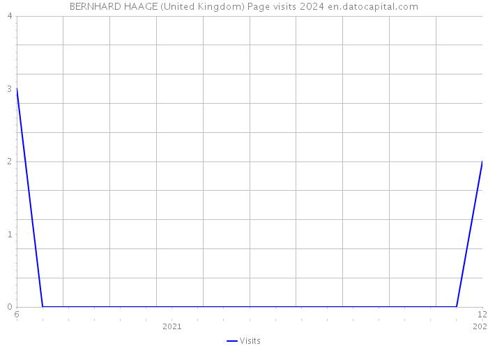BERNHARD HAAGE (United Kingdom) Page visits 2024 