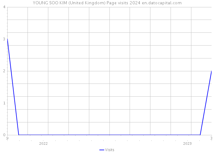 YOUNG SOO KIM (United Kingdom) Page visits 2024 