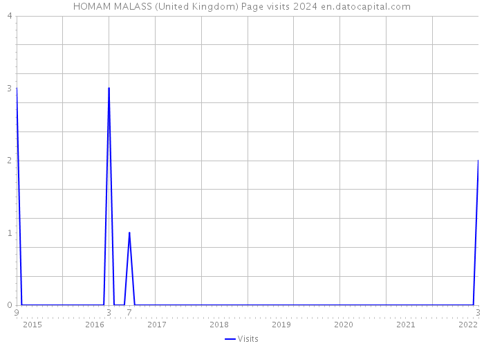HOMAM MALASS (United Kingdom) Page visits 2024 