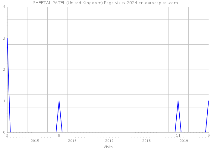 SHEETAL PATEL (United Kingdom) Page visits 2024 