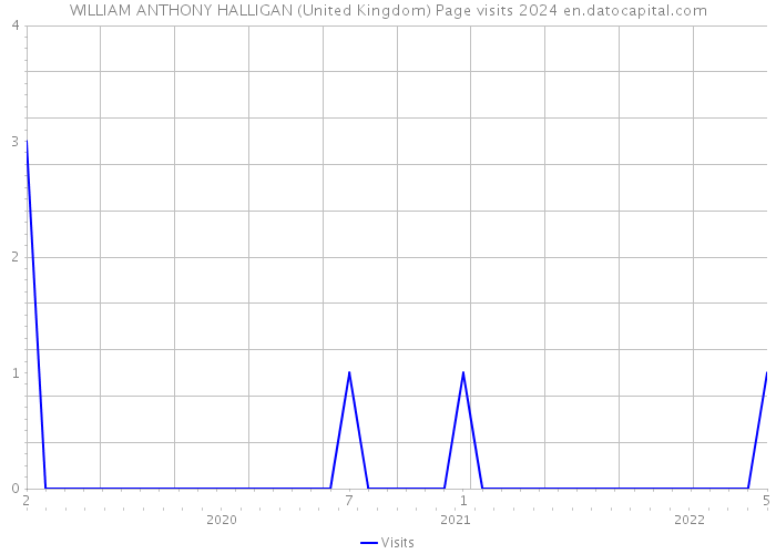 WILLIAM ANTHONY HALLIGAN (United Kingdom) Page visits 2024 