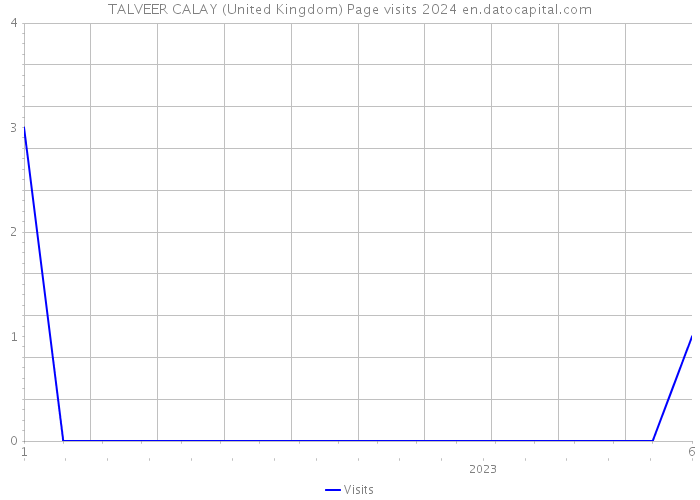 TALVEER CALAY (United Kingdom) Page visits 2024 