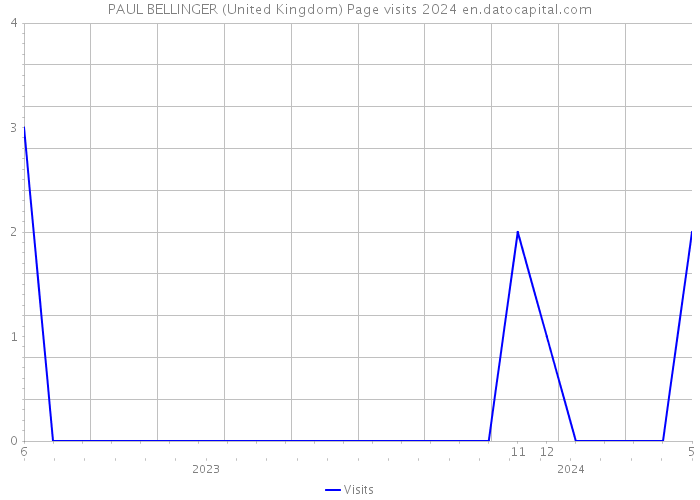 PAUL BELLINGER (United Kingdom) Page visits 2024 