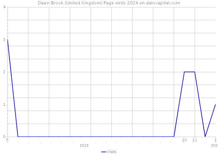 Dawn Brook (United Kingdom) Page visits 2024 