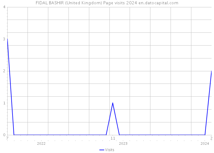 FIDAL BASHIR (United Kingdom) Page visits 2024 