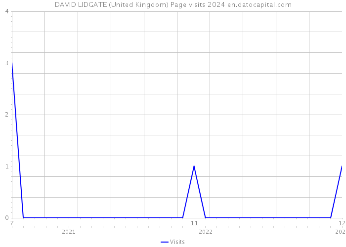 DAVID LIDGATE (United Kingdom) Page visits 2024 
