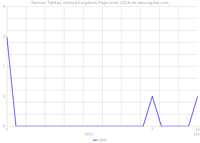 Parinaz Tahbaz (United Kingdom) Page visits 2024 
