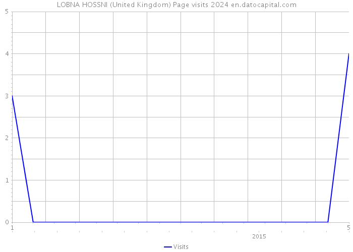LOBNA HOSSNI (United Kingdom) Page visits 2024 
