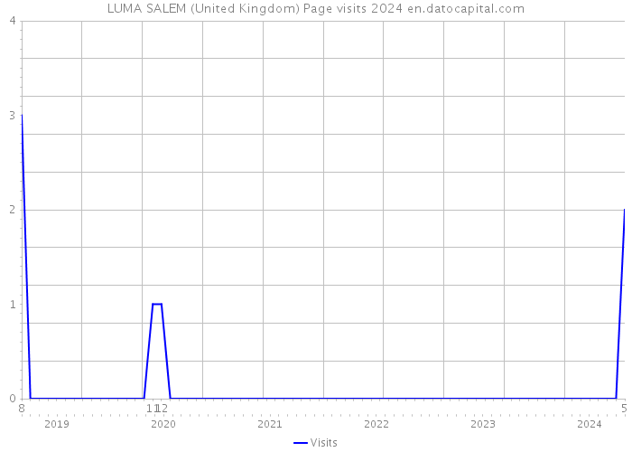 LUMA SALEM (United Kingdom) Page visits 2024 