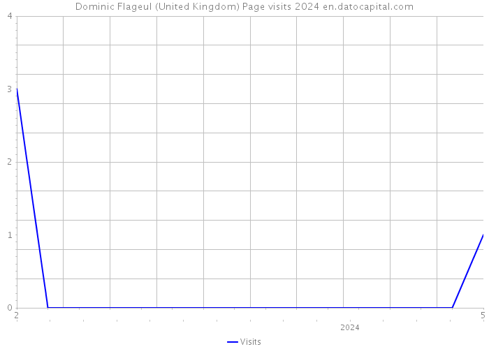 Dominic Flageul (United Kingdom) Page visits 2024 