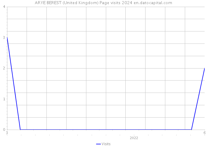 ARYE BEREST (United Kingdom) Page visits 2024 