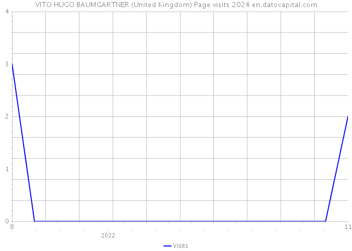 VITO HUGO BAUMGARTNER (United Kingdom) Page visits 2024 
