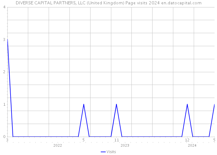 DIVERSE CAPITAL PARTNERS, LLC (United Kingdom) Page visits 2024 