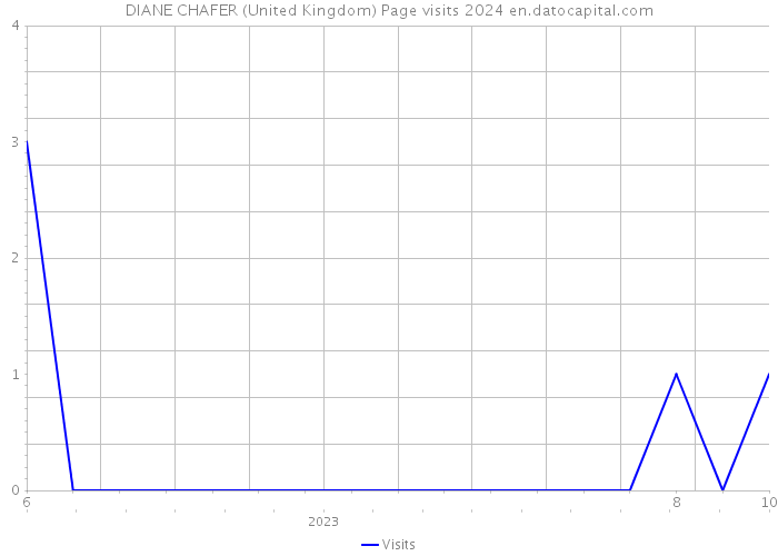 DIANE CHAFER (United Kingdom) Page visits 2024 