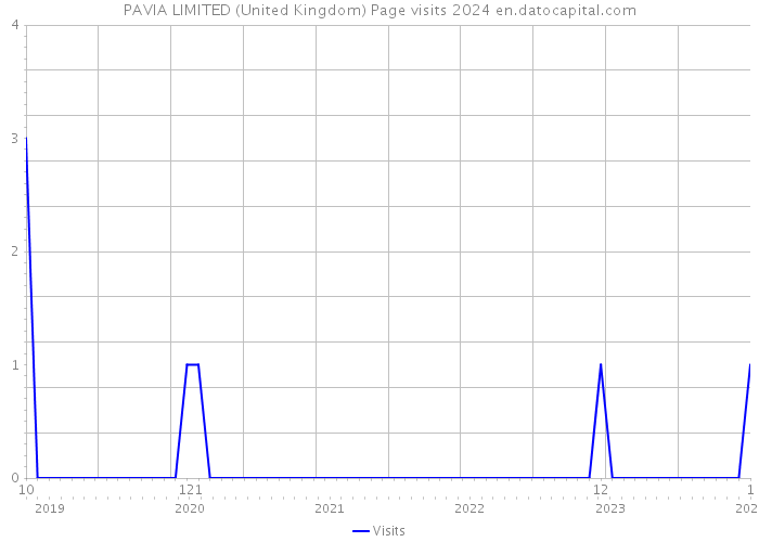 PAVIA LIMITED (United Kingdom) Page visits 2024 