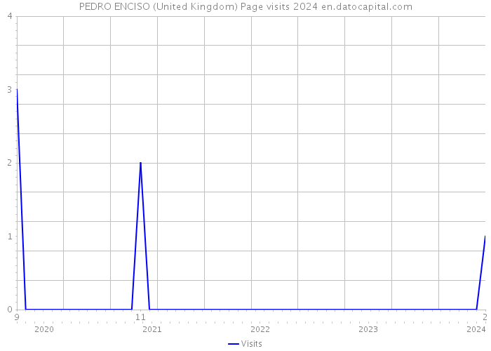 PEDRO ENCISO (United Kingdom) Page visits 2024 