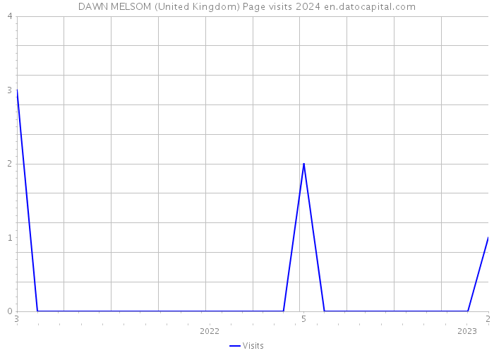 DAWN MELSOM (United Kingdom) Page visits 2024 