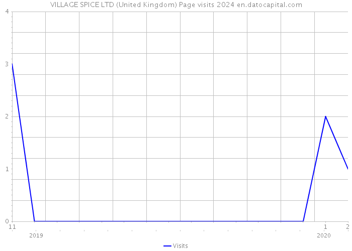 VILLAGE SPICE LTD (United Kingdom) Page visits 2024 
