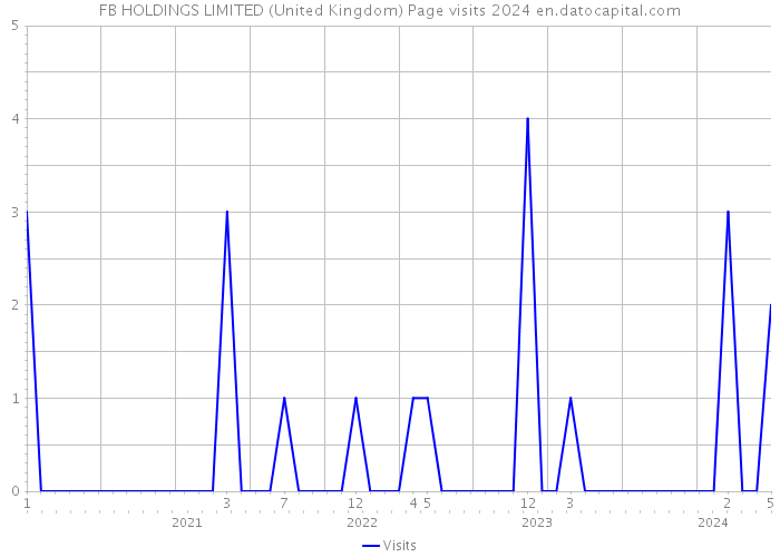 FB HOLDINGS LIMITED (United Kingdom) Page visits 2024 