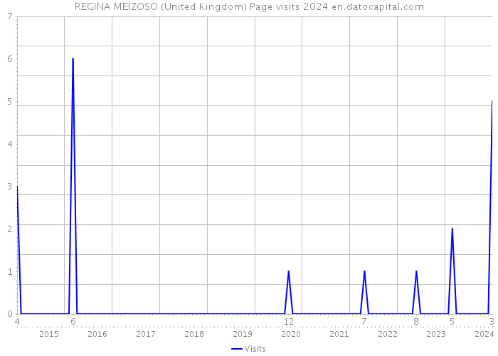 REGINA MEIZOSO (United Kingdom) Page visits 2024 