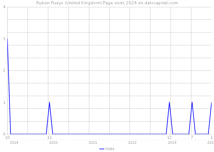 Ruben Pueyo (United Kingdom) Page visits 2024 