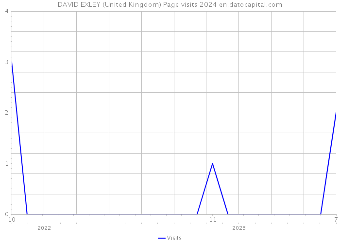 DAVID EXLEY (United Kingdom) Page visits 2024 