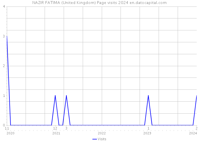 NAZIR FATIMA (United Kingdom) Page visits 2024 