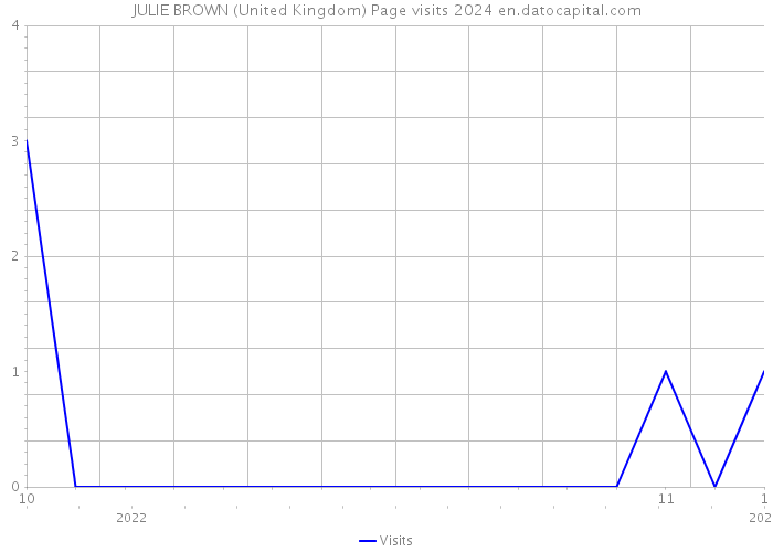 JULIE BROWN (United Kingdom) Page visits 2024 