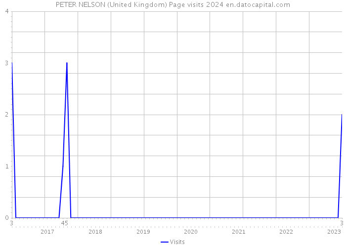 PETER NELSON (United Kingdom) Page visits 2024 