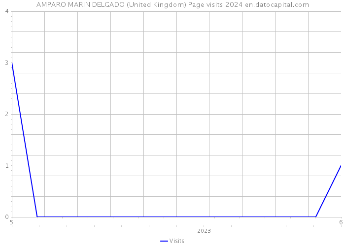 AMPARO MARIN DELGADO (United Kingdom) Page visits 2024 