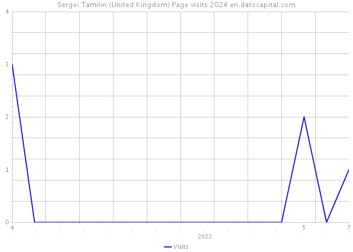 Sergei Tamilin (United Kingdom) Page visits 2024 