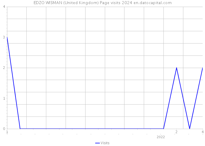 EDZO WISMAN (United Kingdom) Page visits 2024 