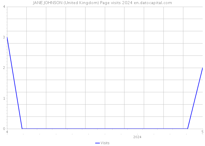 JANE JOHNSON (United Kingdom) Page visits 2024 