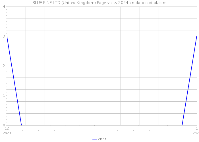 BLUE PINE LTD (United Kingdom) Page visits 2024 