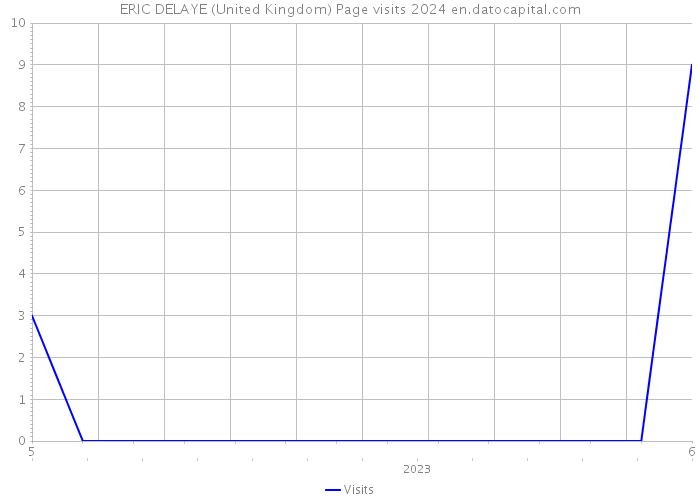 ERIC DELAYE (United Kingdom) Page visits 2024 