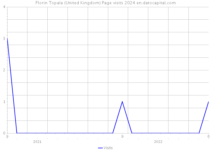 Florin Topala (United Kingdom) Page visits 2024 