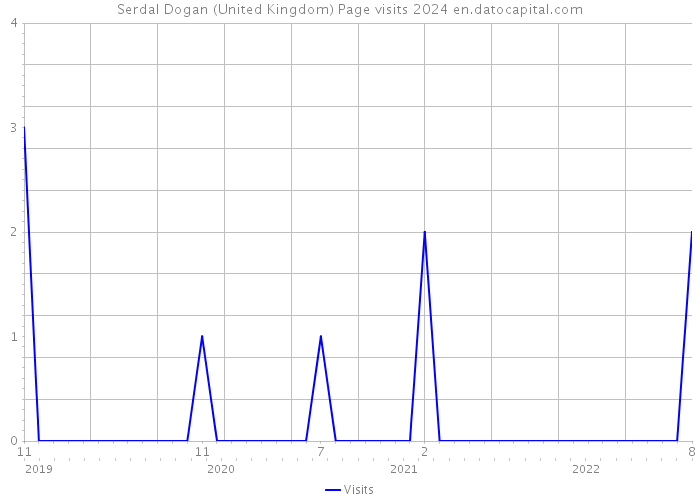 Serdal Dogan (United Kingdom) Page visits 2024 