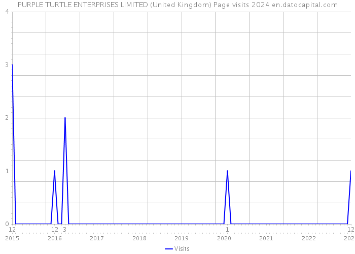 PURPLE TURTLE ENTERPRISES LIMITED (United Kingdom) Page visits 2024 