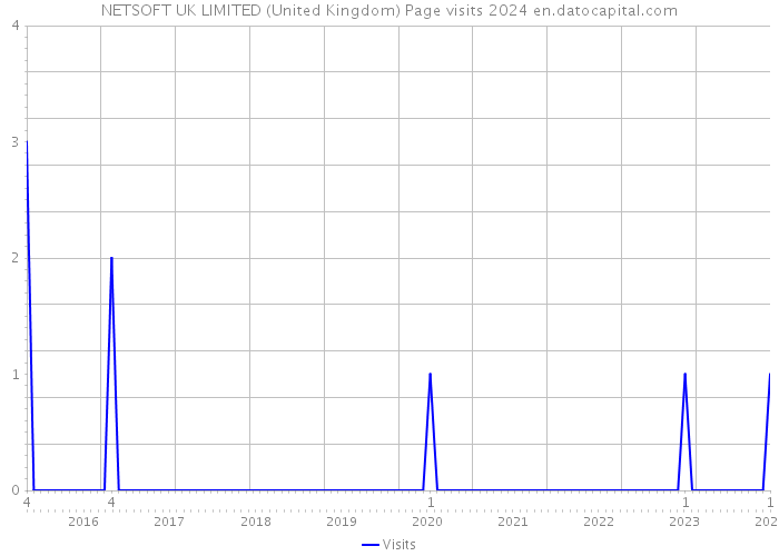 NETSOFT UK LIMITED (United Kingdom) Page visits 2024 