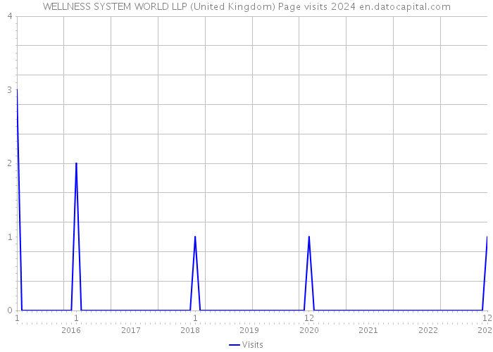 WELLNESS SYSTEM WORLD LLP (United Kingdom) Page visits 2024 