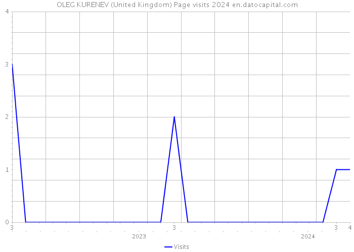 OLEG KURENEV (United Kingdom) Page visits 2024 