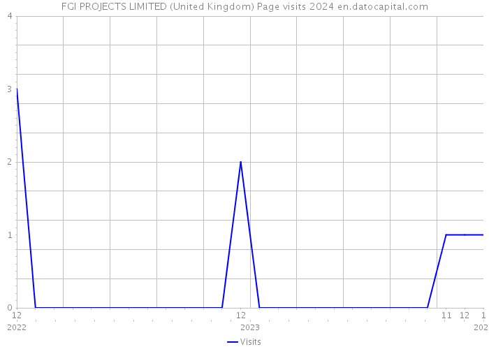 FGI PROJECTS LIMITED (United Kingdom) Page visits 2024 