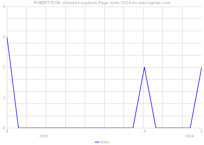 ROBERT RUSK (United Kingdom) Page visits 2024 
