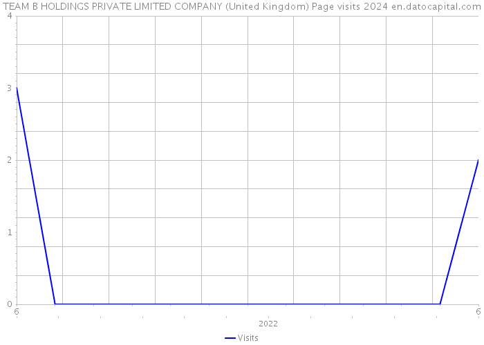 TEAM B HOLDINGS PRIVATE LIMITED COMPANY (United Kingdom) Page visits 2024 