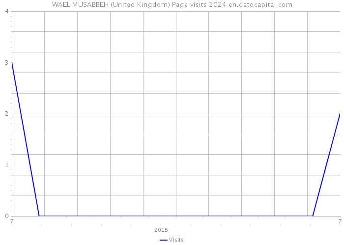 WAEL MUSABBEH (United Kingdom) Page visits 2024 